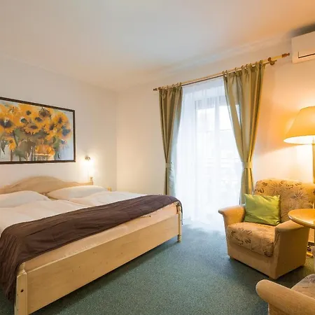 Maxant Hotel Frymburk